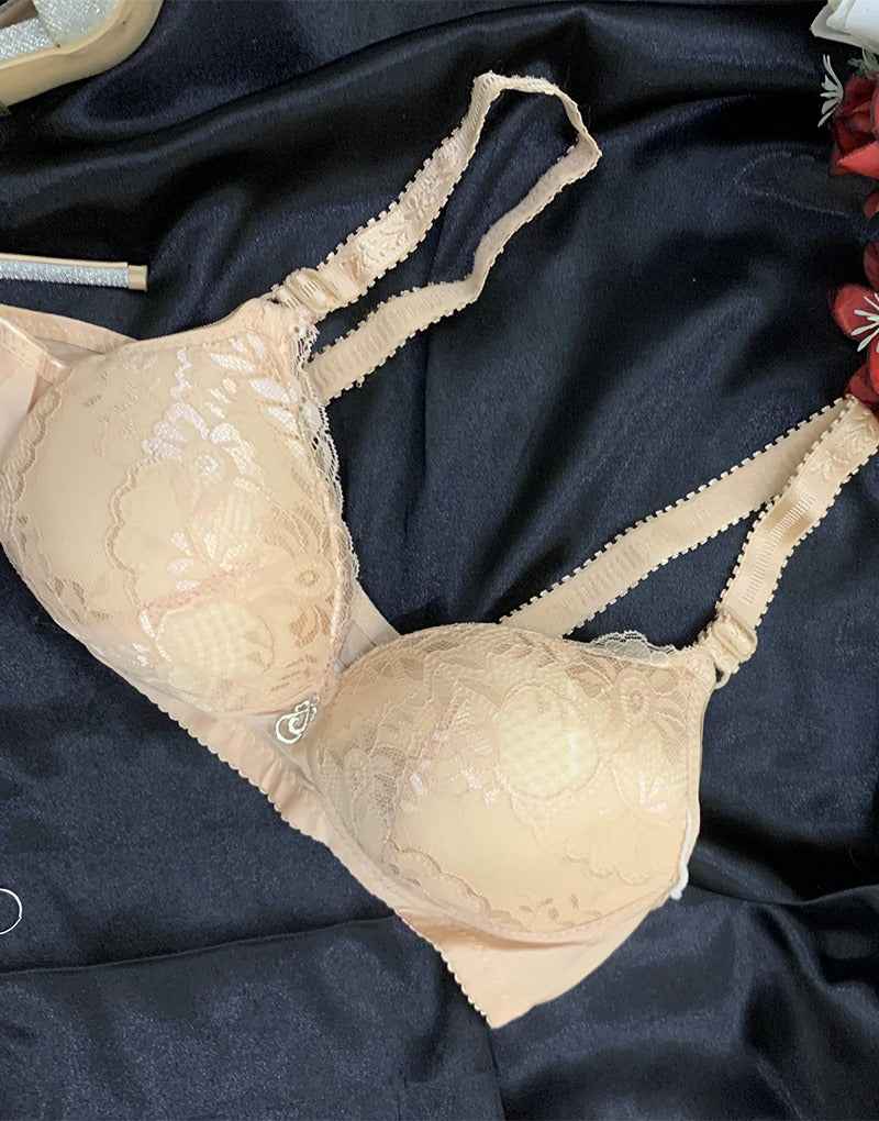 Dazzling Desires Double-Padded Lace Elegance Bra with Back Closure